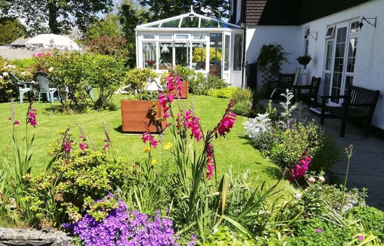 Flowers in the garden at Abbeyfield Scott House, Mawnan Smith TR11 5ER
