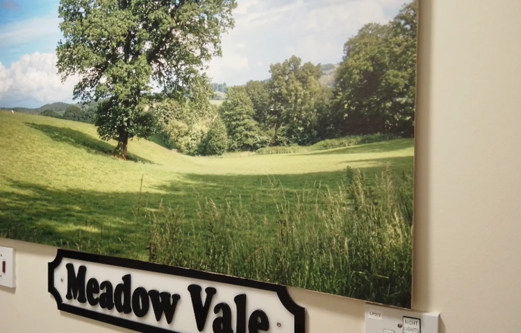 beautiful-canvas-of-meadow-vale-on-wall.jpg