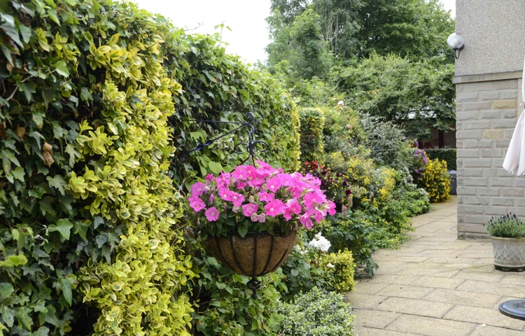 castle-view-house-sheltered-housing-in-clitheroe-4.jpg