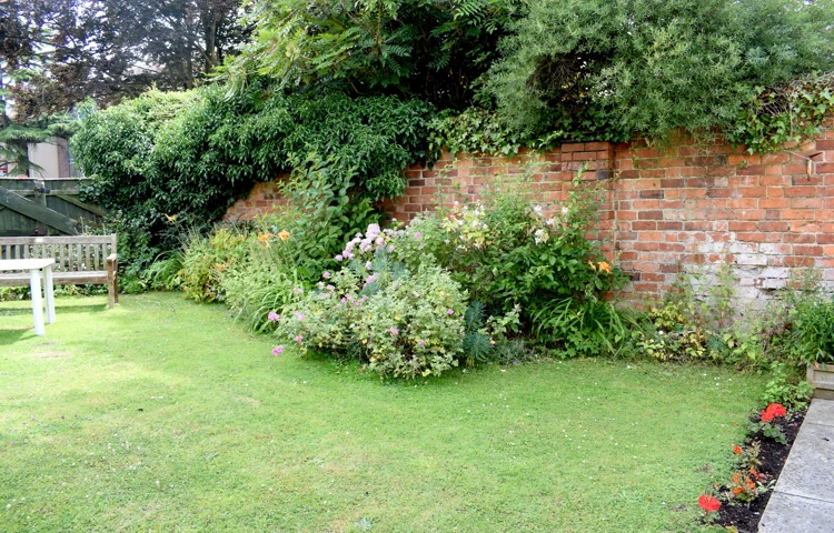 Our garden in bloom