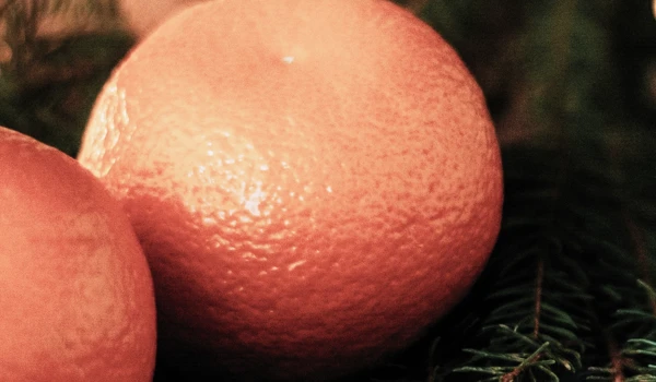 Christmas Tangerine