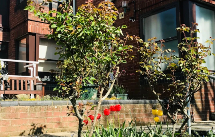 garden_515x268.jpg