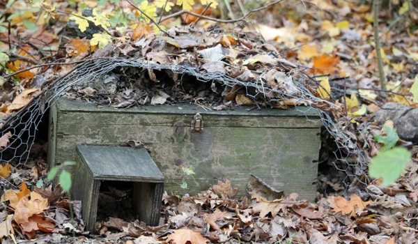 Hedgehog House