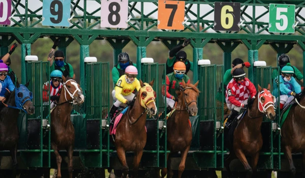 Horse Racing