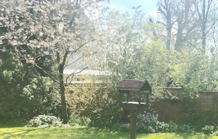 garden-1_515x268.jpg