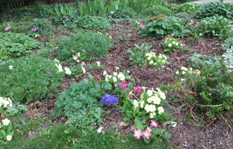 garden-at-abbeyfield-house.jpg