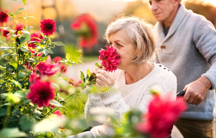 A couple in the garden by the beautiful flowers