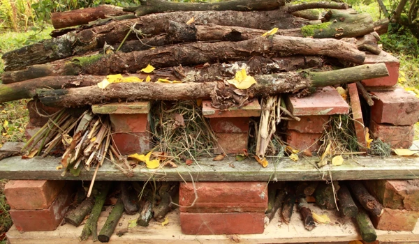 Bug Hotel