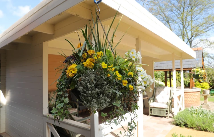 Beautiful hanging baskets in the sunshine hanging from the sheltered seating area