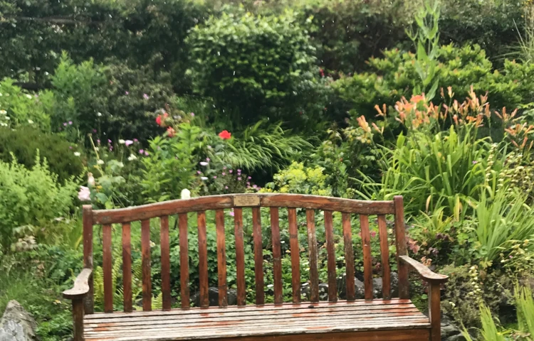 Relax In The Beautiful Garden In The Sunshine