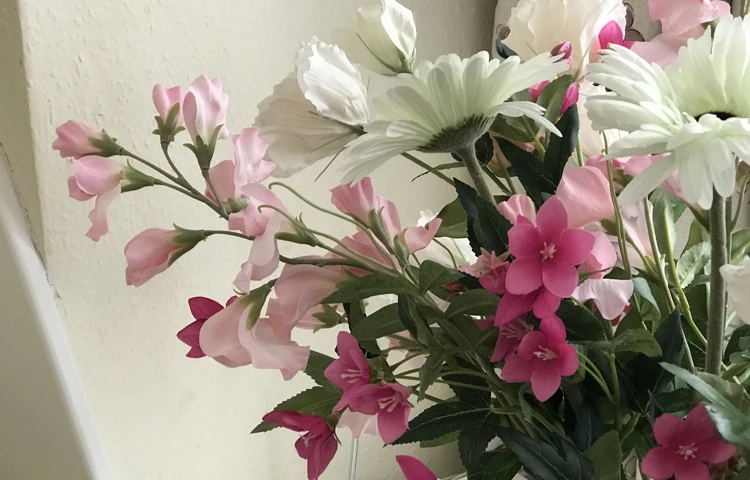 Flowers at Abbeyfield House, Sutton SM2 6HJ