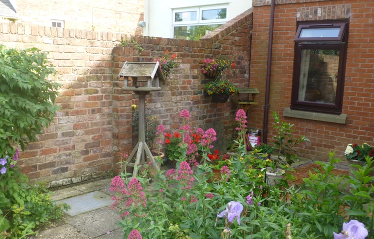 bird-feeder.jpg
