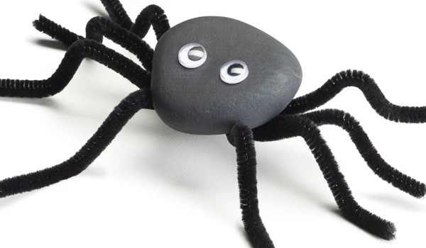 Spider Craft