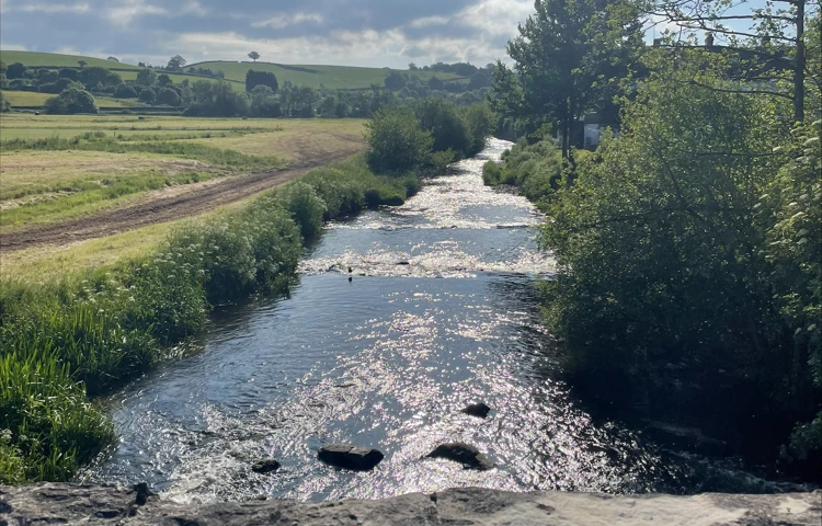 River near Marjorie Baker EX24 6LJ