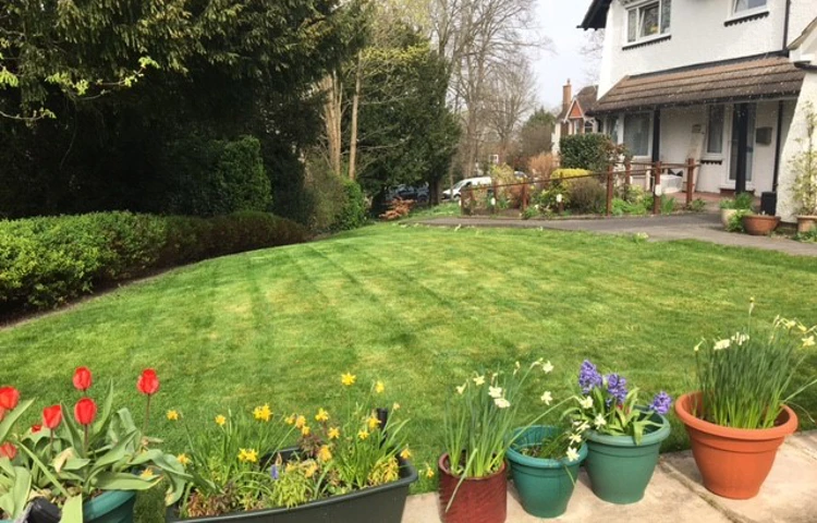 beautiful-lawns-and-pots-at-abbeyfield-house-sanderstead.jpg