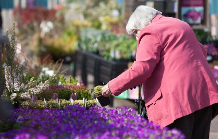 vera_gardencentre156-1024x683.jpg
